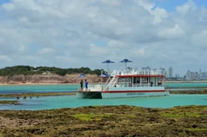 seixas 04